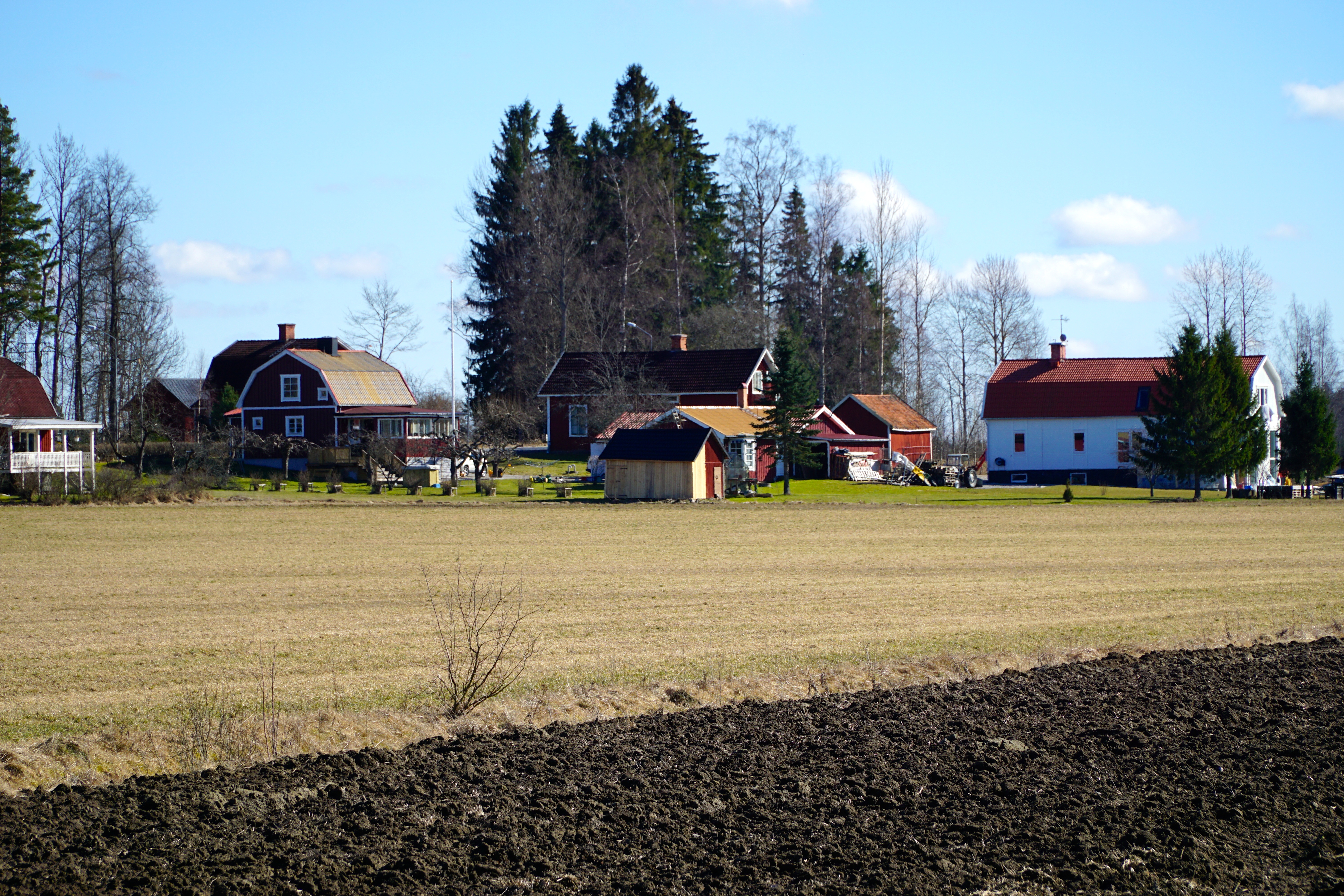 DSC00029.JPG