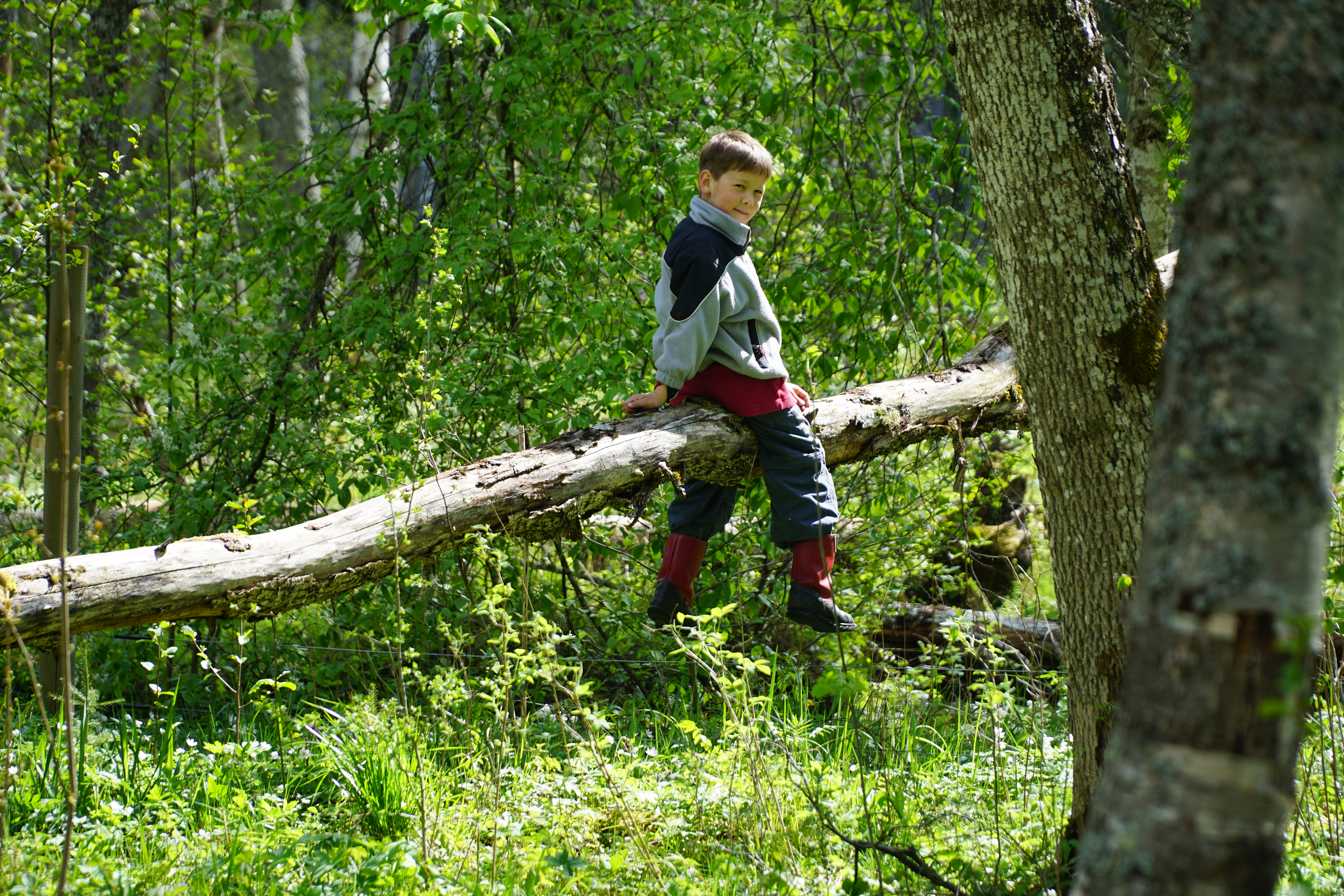 Utflykt till Järleån