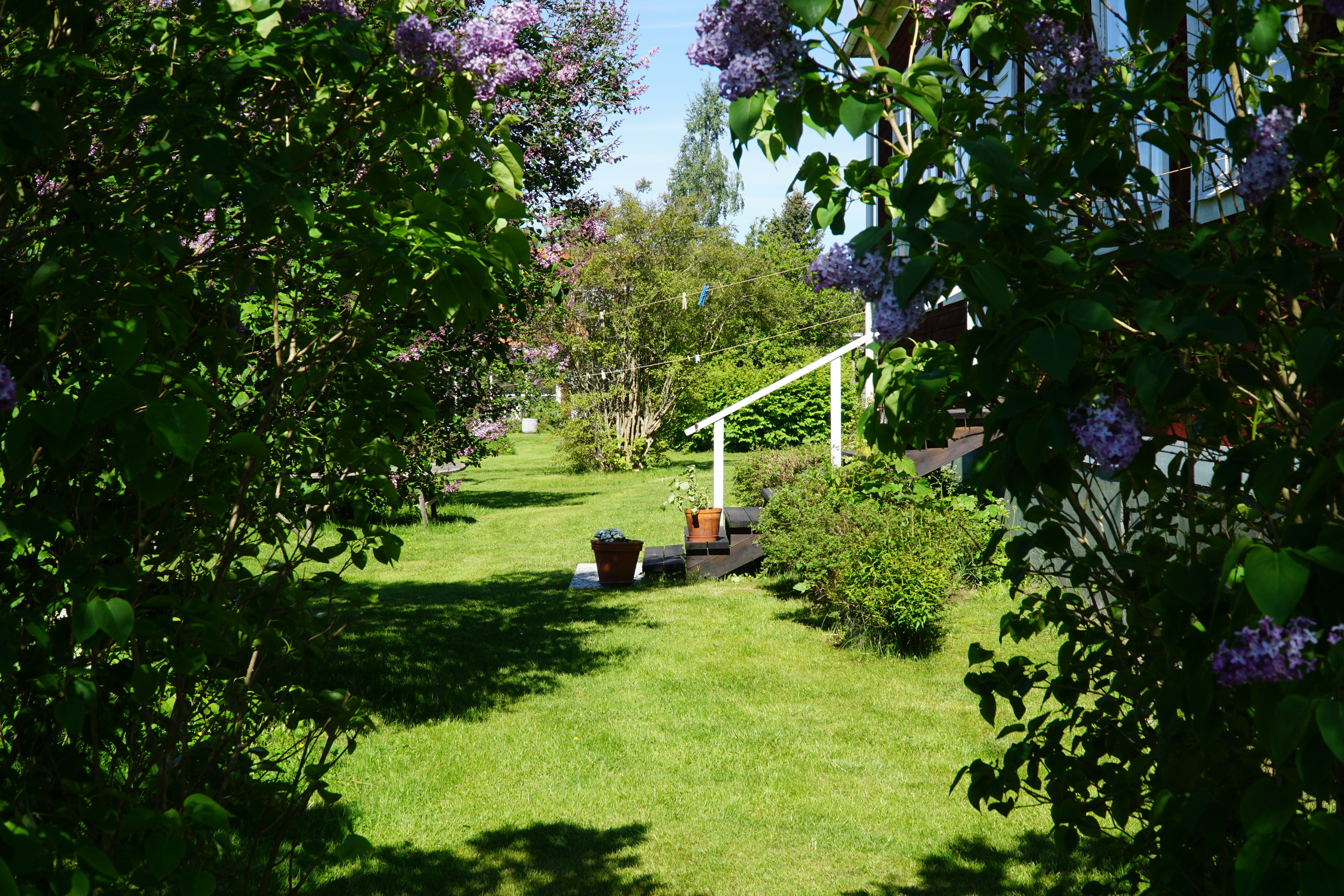 DSC01047.JPG