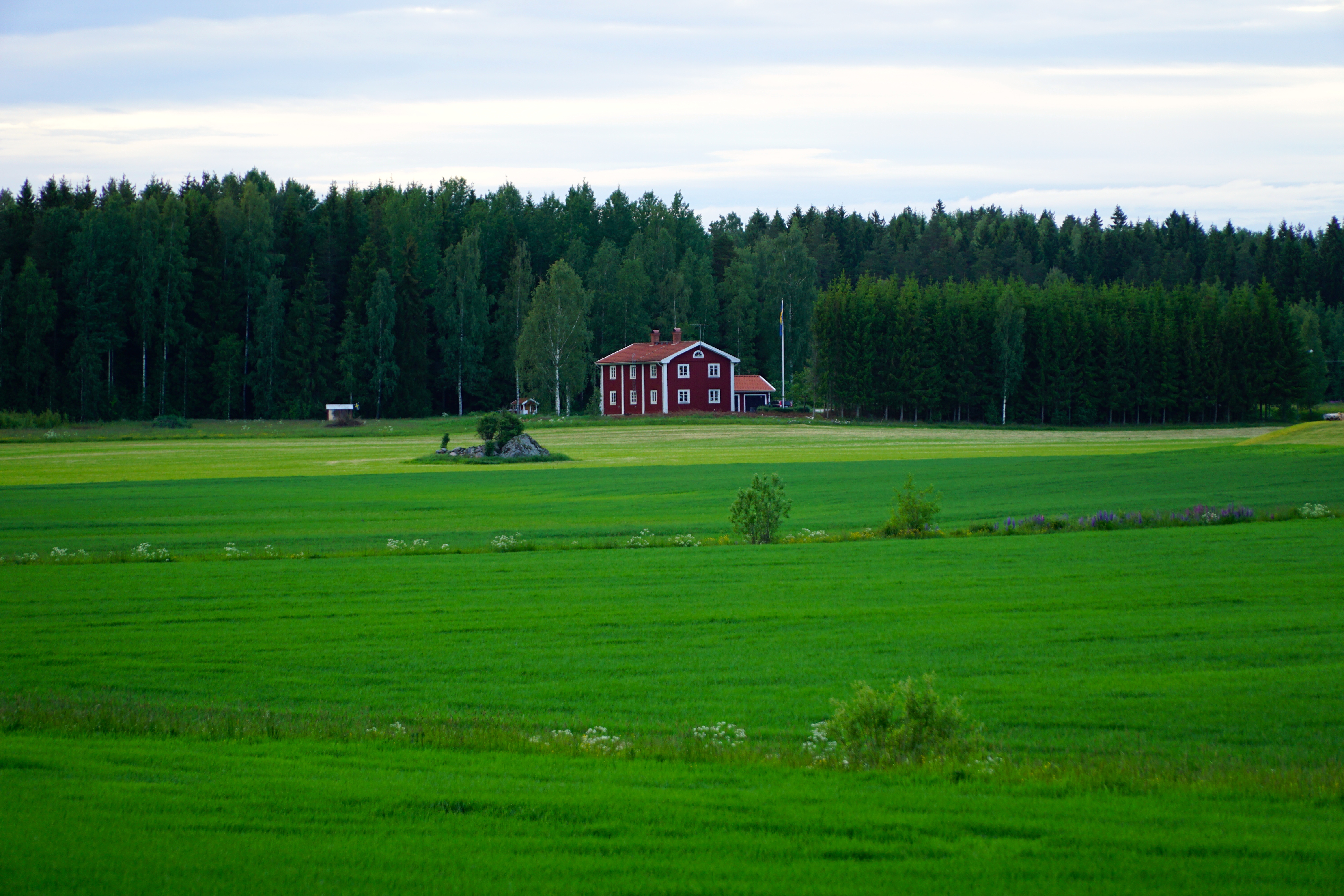 DSC01090.JPG