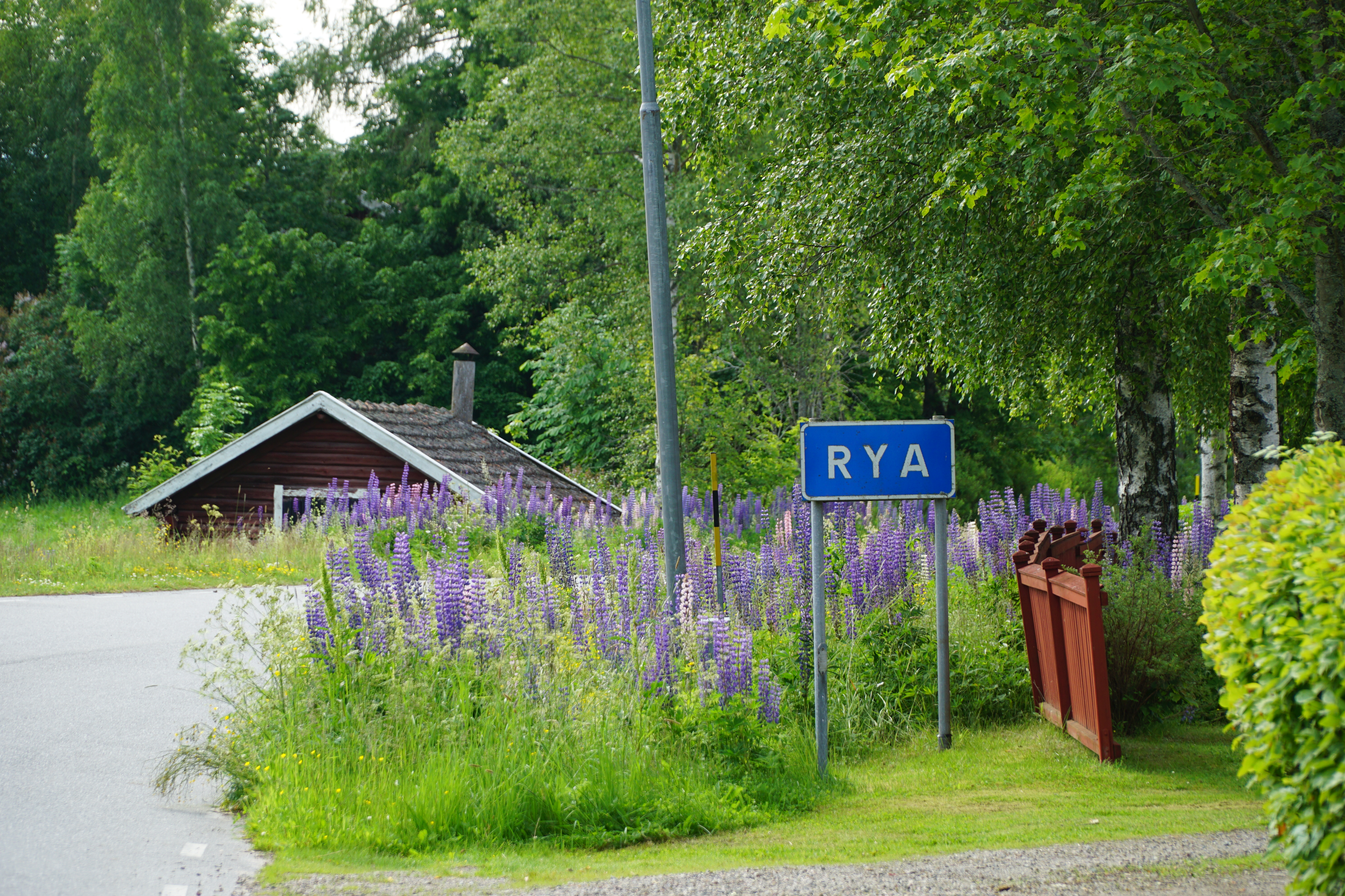 Sommar 2015