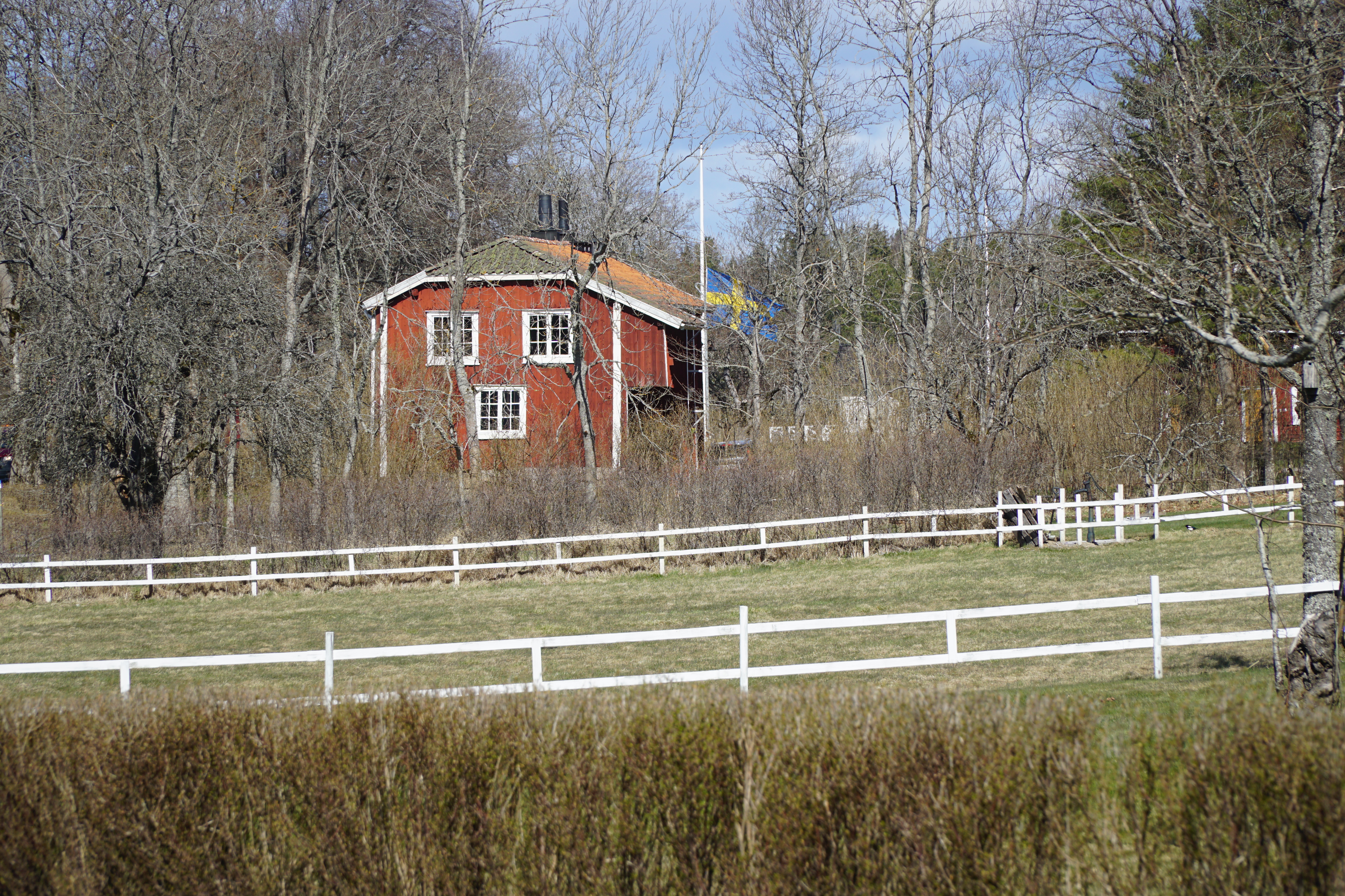 DSC03059