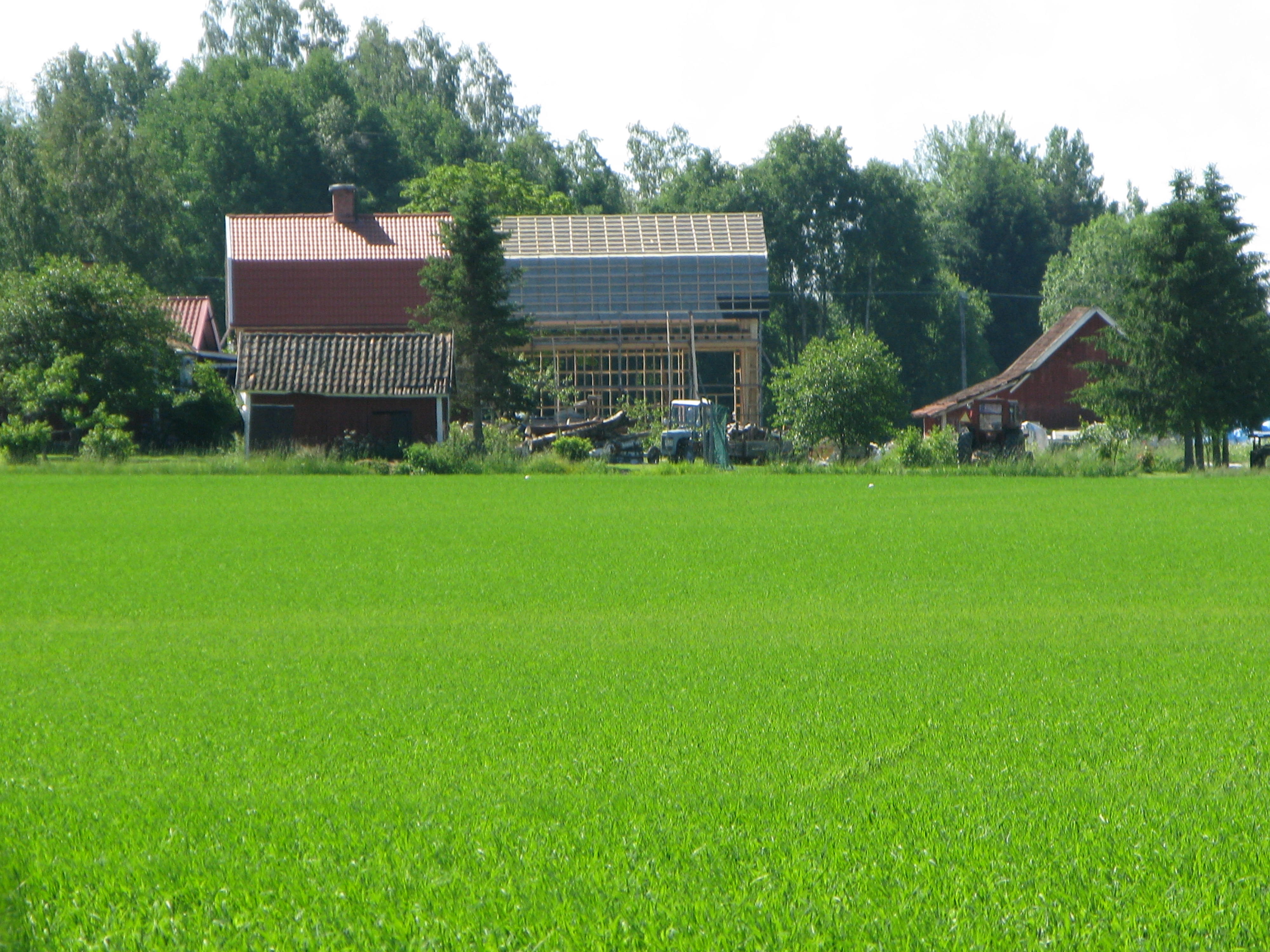 Sommaren 2012